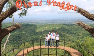 hutan-pinus-pengger