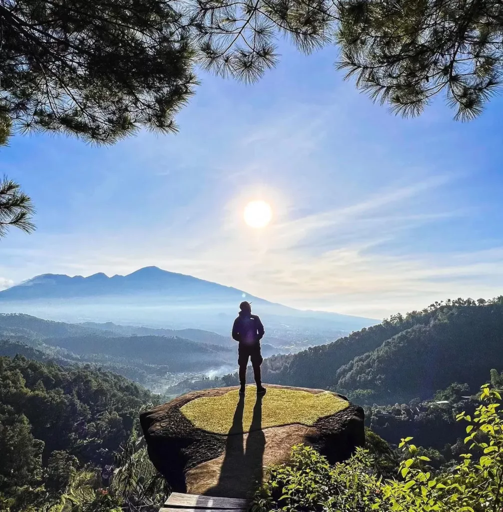 Goa Pinus Pujon Malang